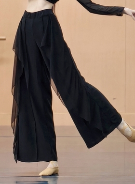 古典舞裤子中国舞练功服演出服女飘逸现代舞阔腿裤舞蹈裤新款秋冬
