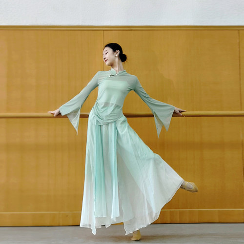 宸迪中国舞立领修身舞蹈服