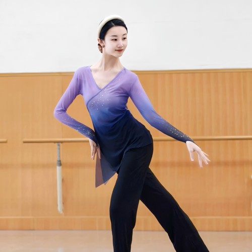 古典舞渐变身韵纱衣练功服女中国舞民族舞现代舞蹈服装上衣基训服