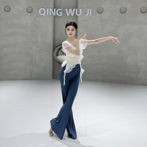 古典舞蹈服装荷叶边短袖上衣中国舞现代舞练功形体夏季服装