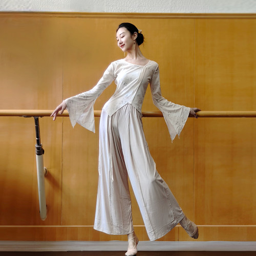 古典舞印花身韵纱衣练功服女中国舞民族舞现代舞蹈服装上衣基训服