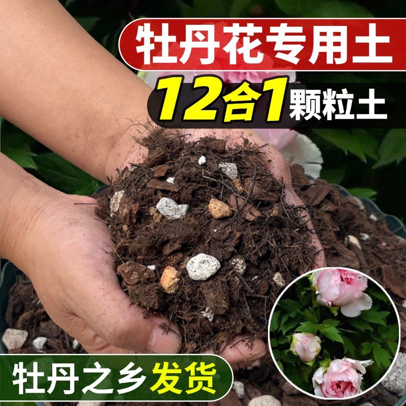 牡丹花芍药种植土壤肥料专用土图片