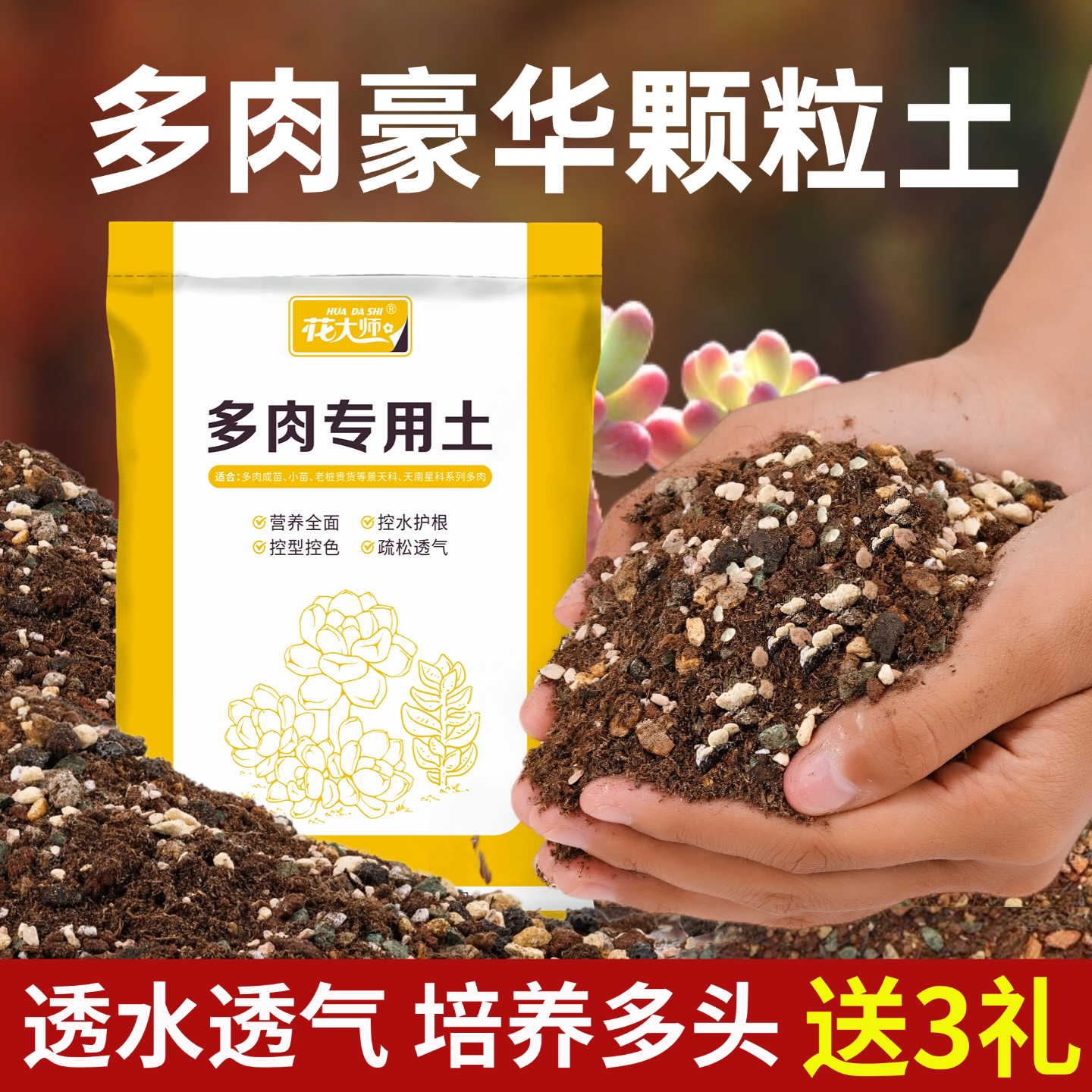 多肉颗粒土专用土栽培营养土肉肉多肉土小苗叶插老桩法师专用