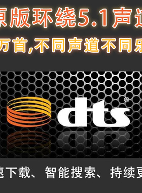 DTS杜比5.1声道全景环绕车载影院无损音乐抖音新歌下载ac3wavflac