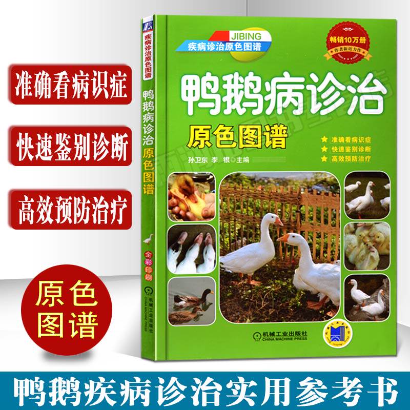 病诊断与防治养鸭技术养鹅养殖技术大全养鹅技术书籍养殖书籍大全禽