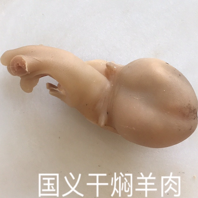 中央1套三餐四季推荐莆田非遗美食国义干焖羊肉，干焖羊蛋，羊宝,水产肉类/新鲜蔬果/熟食,其它羊肉类,淘宝优惠券,粉丝福利购,淘宝优惠卷