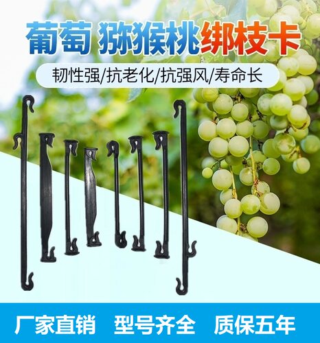 葡萄绑枝卡猕猴桃绑枝卡绑枝卡扣葡萄卡扣毛桃卡子绑无花果卡农用