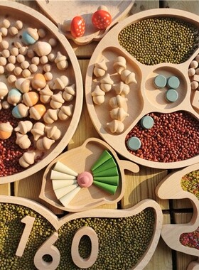 木制感官分类托盘蒙台梭利木制玩具免费游戏益智游戏儿童生日礼物