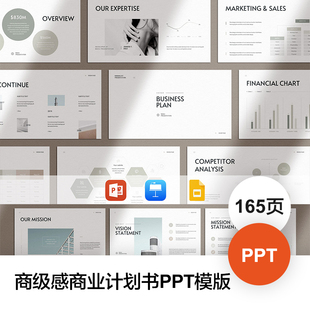 商业计划书项目方案策划欧美简约工作汇报PPT模板