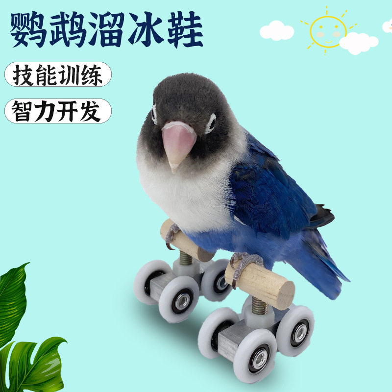 鹦鹉鸟玩具训练道具用滑轮玄凤智力开发用品旱冰鞋滑板鹦鹉