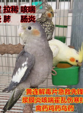 感冒拉稀鼻炎肠炎先锋鸟药解毒片