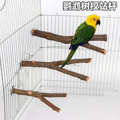 鹦鹉鸟磨抓棒鹦鹉木质树杈鸟站杠 鹦鹉树枝二分双树叉鹦鹉用品鸟