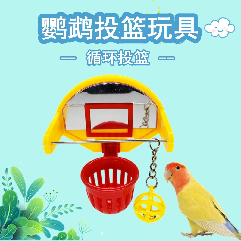 鹦鹉鸟玩具训练投篮啃咬智力