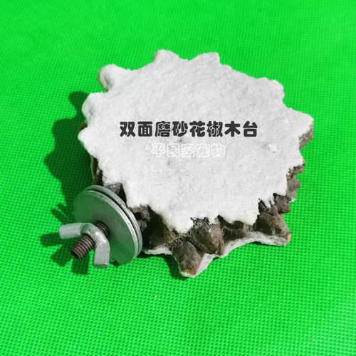 平民宠鹦鹉花椒木站台磨牙