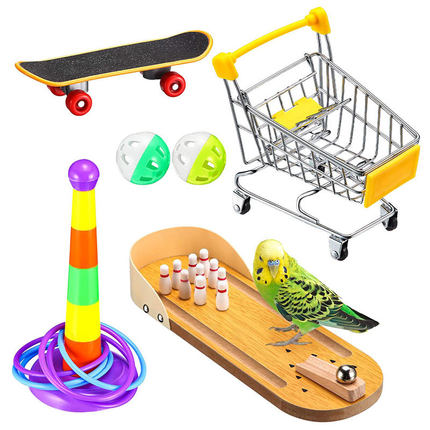 6PCS 鹦鹉玩具套装益智套圈手推车训练鸟用品用具工厂鸟玩具