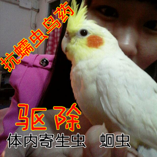 抗虫一号牡丹虎皮鹦鹉 驱除体内寄生虫 蛔虫 抗蠕虫杀虫鸟药 10颗