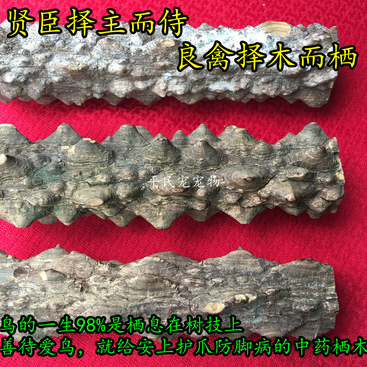 八哥鹩哥站棒 见血飞栖息站杠鹦鹉鸟用花椒木防螨磨指甲鸟喙磨爪