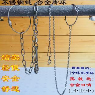 鹦鹉脚环 喜鹊八哥伯劳牡丹玄凤鸽子站架放飞绳 脚链不锈钢鸟链子