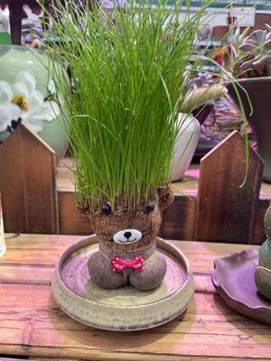 草头娃娃长草人小盆栽浇水长头发儿童新奇玩具种草幼儿园网红开花