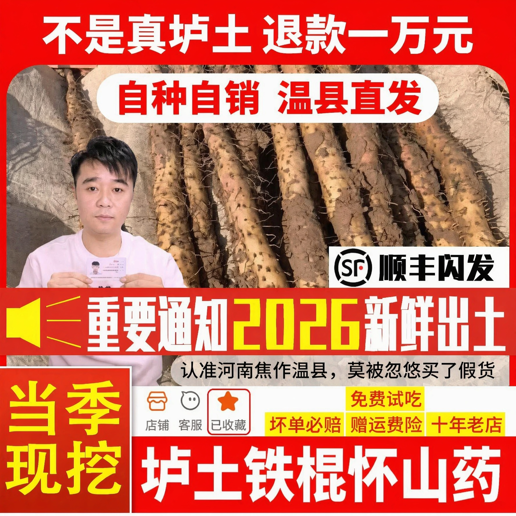 河南焦作温县正宗5斤垆土农家铁棍山药新鲜淮山怀山原产地直发