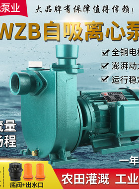 上海上元电力铸铁全铜电机正品