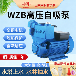 正宗大明牌自吸泵家用管道增压泵循环泵自来水热水器增压泵抽水泵