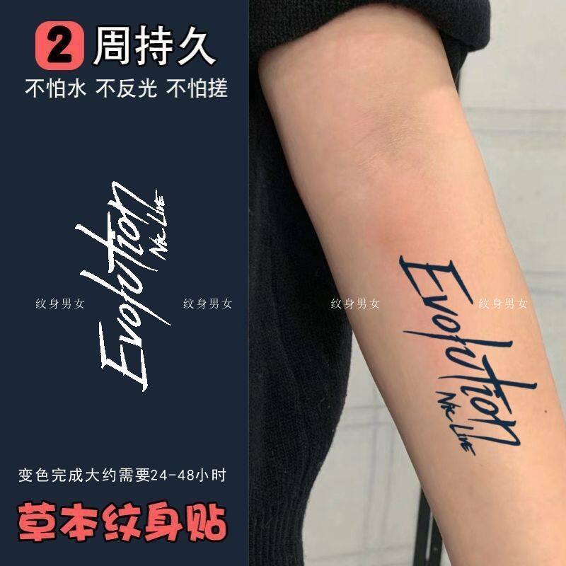 谢霆锋演唱会Evolution草本果汁防水持久刺青字母花臂纹身图片