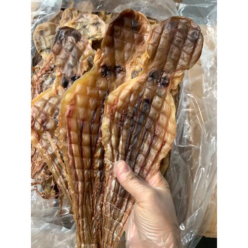广西北海淡干无添加章鱼干煲汤