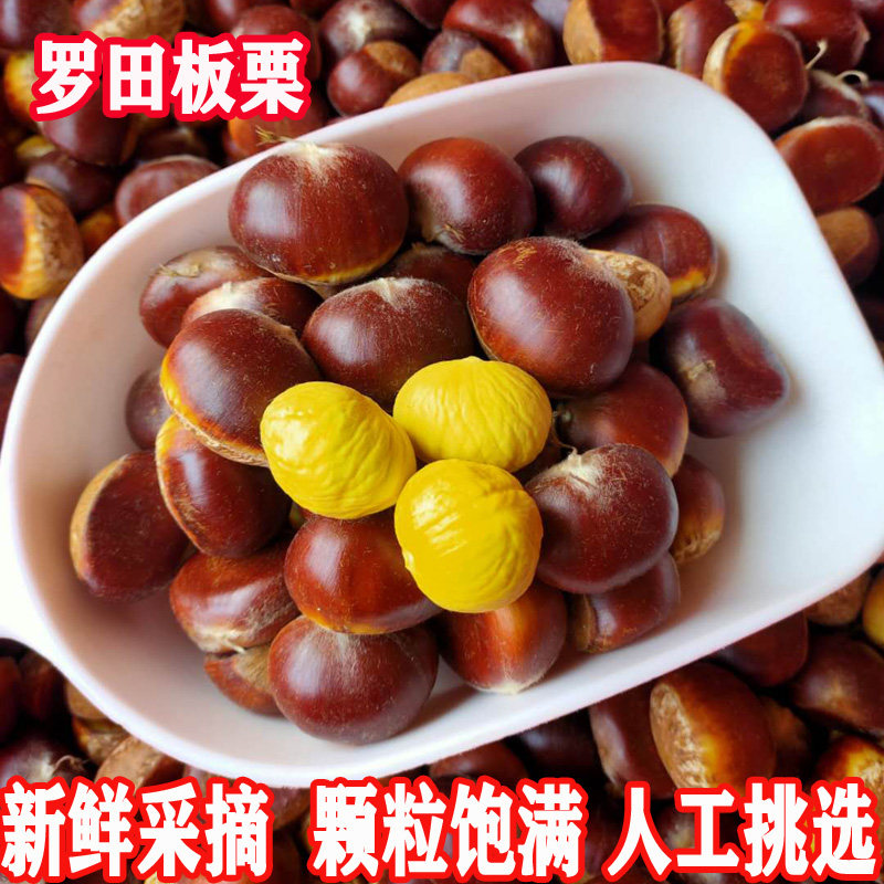 2025罗田板栗生新鲜带壳白壳嫩栗子野生毛栗子白皮当季现摘生油栗