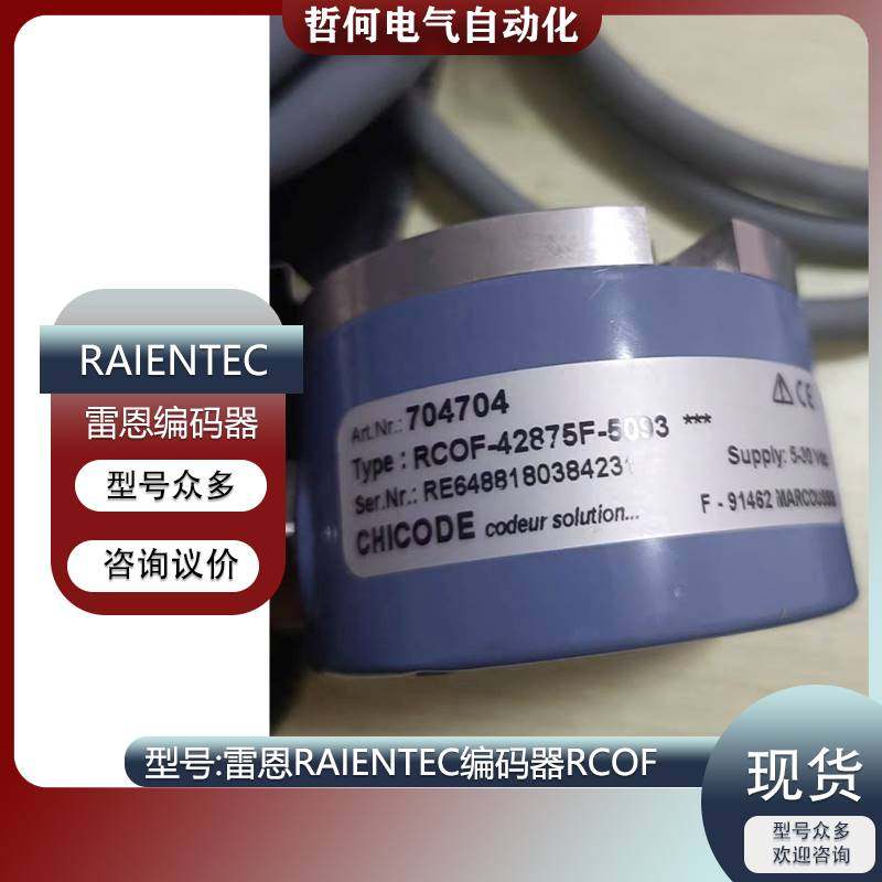 179-RAIENTEC RADIO-ENERGIE雷恩编码器CHICODE RCOF-42875F-5093