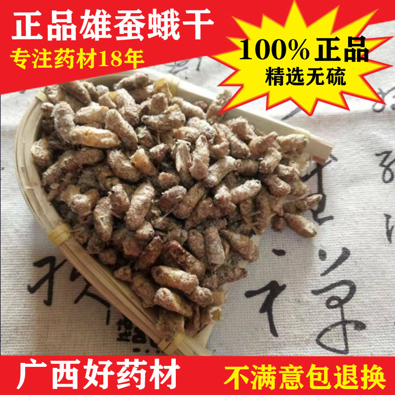 雄蚕蛾未交配纯天然无硫雄蝉蛾粉晚蛾子滋补养生泡酒料500g