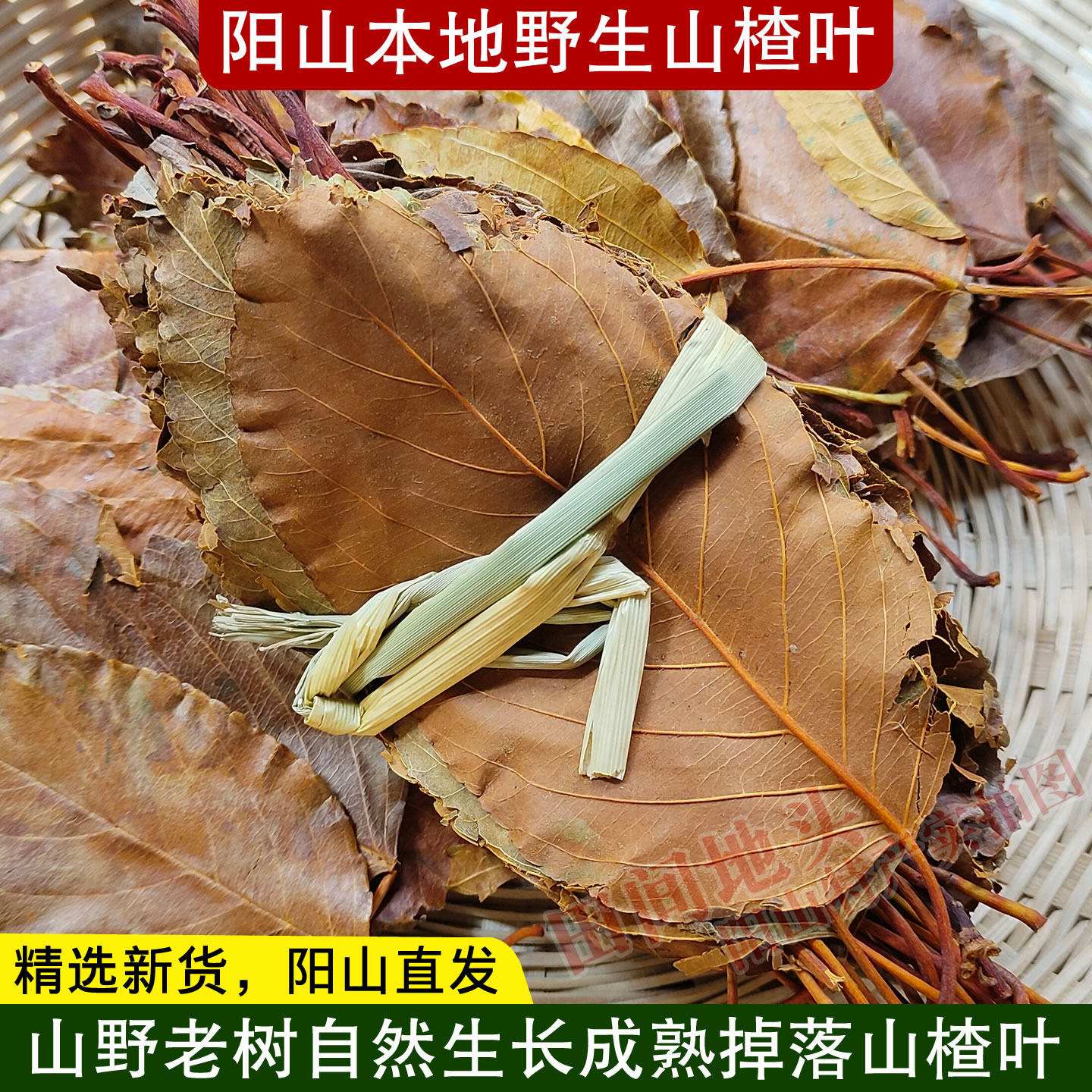 阳山本地野生山楂叶新货广东茶叶煮水泡茶无硫山楂叶养生茶纯天然