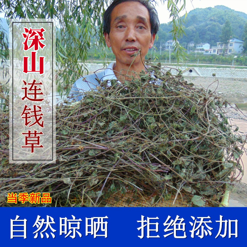 深山连钱草金钱草野外生长透骨消新货落地铜钱草肺风草500g克干品