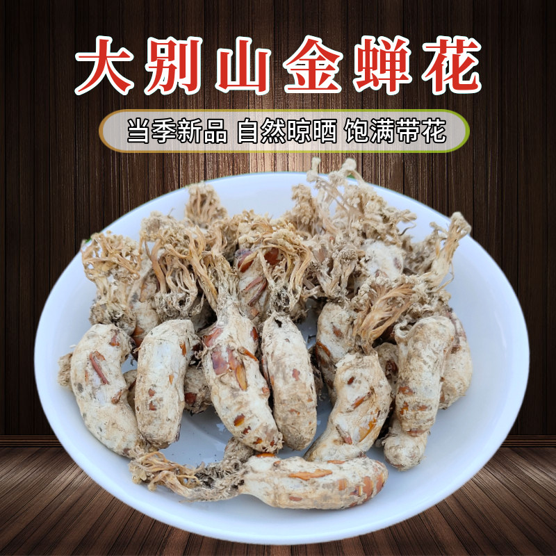 正宗竹海金蝉花新货大别山深山野外生长竹林蝉花土蝉花金蝉花包邮