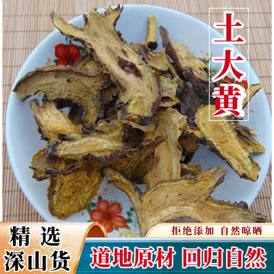 深山土大黄羊蹄草羊蹄根野外生长