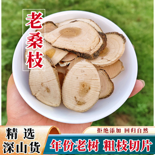 正宗老树桑枝片纯大片深山野外生长老桑叶树枝老枝药材无硫霜桑枝