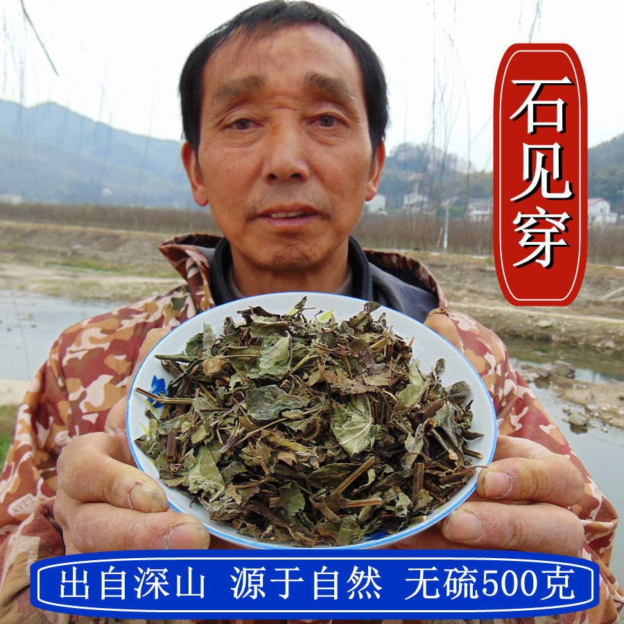 【石见穿】山区农家自采中药材500克石打穿石大川紫参 月下红包邮