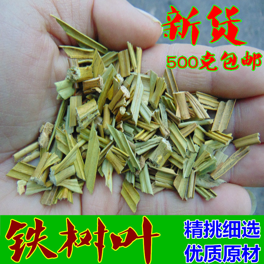 大別山 鐵樹一葉鐵樹葉 切好鐵樹葉500克可搭配半枝蓮白花蛇舌草
