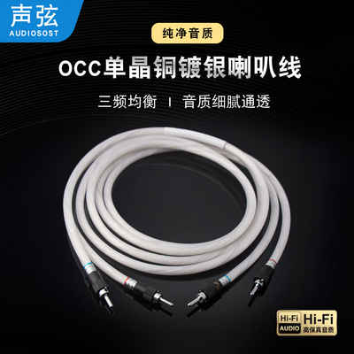 荷兰进口单晶铜镀银自锁喇叭线