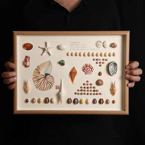 天然贝壳标本海螺相框diy手工装裱制作展示摆台家居装饰立体挂画 - 封面