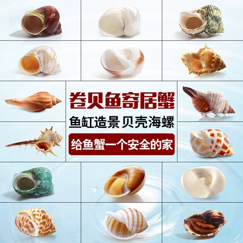 孀ㄓ 孀ㄓ 鼻 鼻 鼻 鼻 鼻 葜 葜 葜 阕 阕   遄 遄 遄 遄 遄 遄