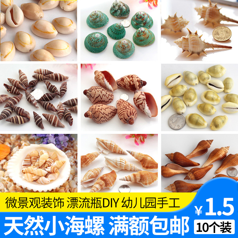 各种小海螺天然贝壳地中海风格