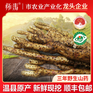 野外自然生长铁棍山药 正宗新鲜 太行山坚硬土质5斤装特产
