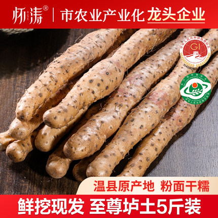 怀涛河南焦作温县正宗精品垆土铁棍山药新鲜怀淮山铁杆铁棒山约