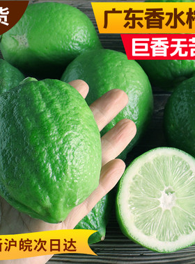 广东香水柠檬香气芬芳奶茶店包邮