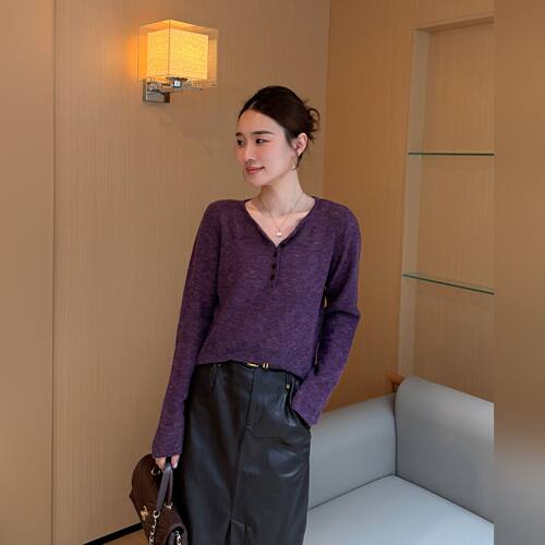 野莓紫绵羊毛圆领长袖针织衫女秋