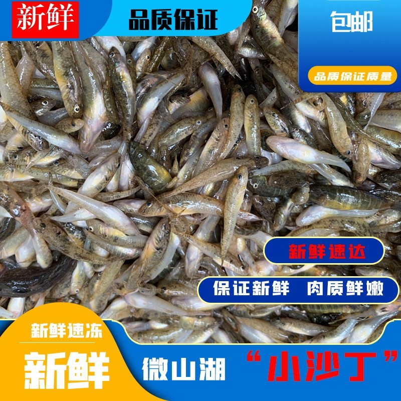 微山湖沙里爬新鲜爬地虎速冻小沙丁鱼滋补油炸炖汤小杂鱼一斤包邮