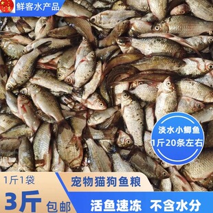 速冻小鲫鱼新鲜饲料鱼宠物粮小杂鱼龙鱼 虎鱼鱼食 龟粮猫狗发奶粮