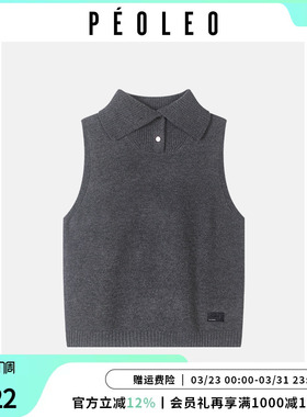 飘蕾浅灰色无袖马甲套头好看毛衣秋冬季设计感OL宽松叠穿显瘦背心