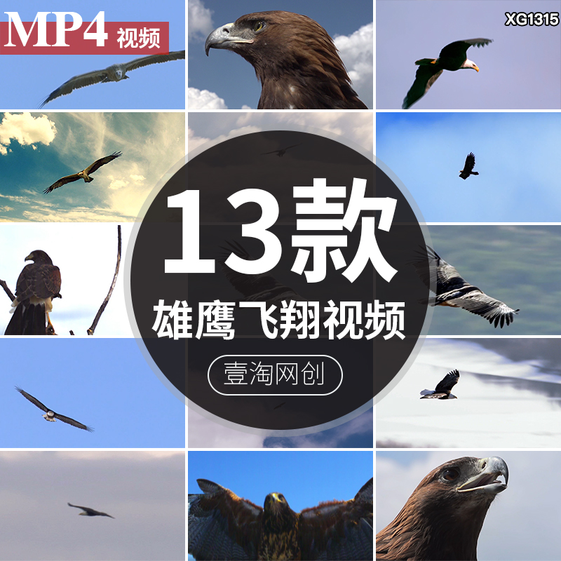 雄鹰飞翔鹰眼翱翔大鹏展翅长空飞行老鹰高飞过雪山励志短视频素材